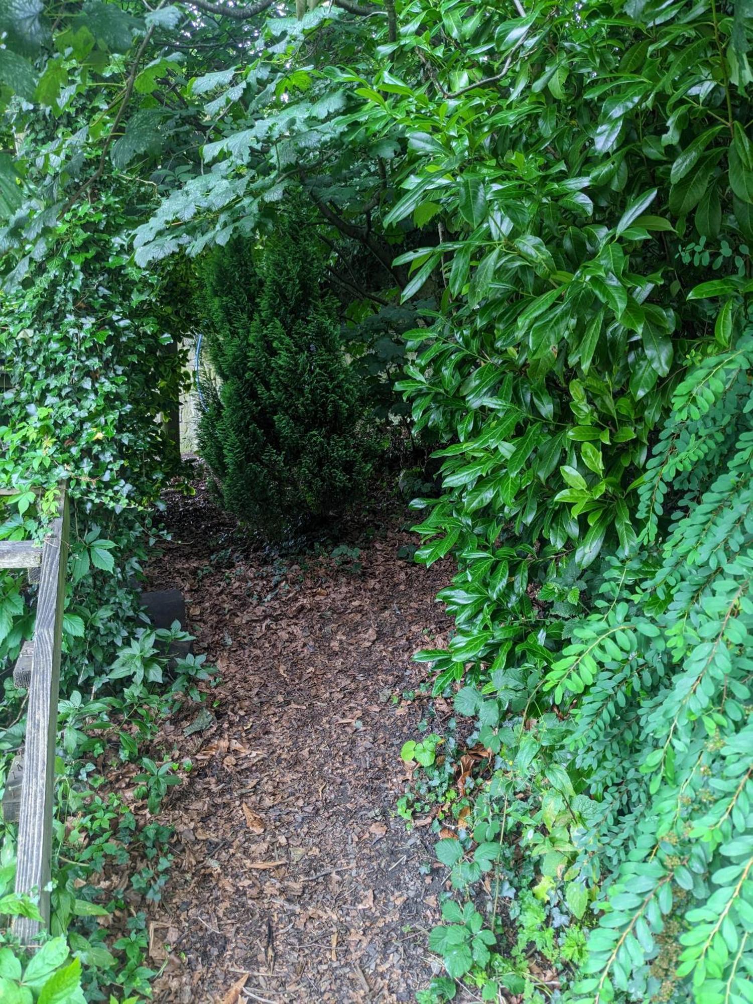 Wild Retreats 'glamping Pods And Tents' Wrexham